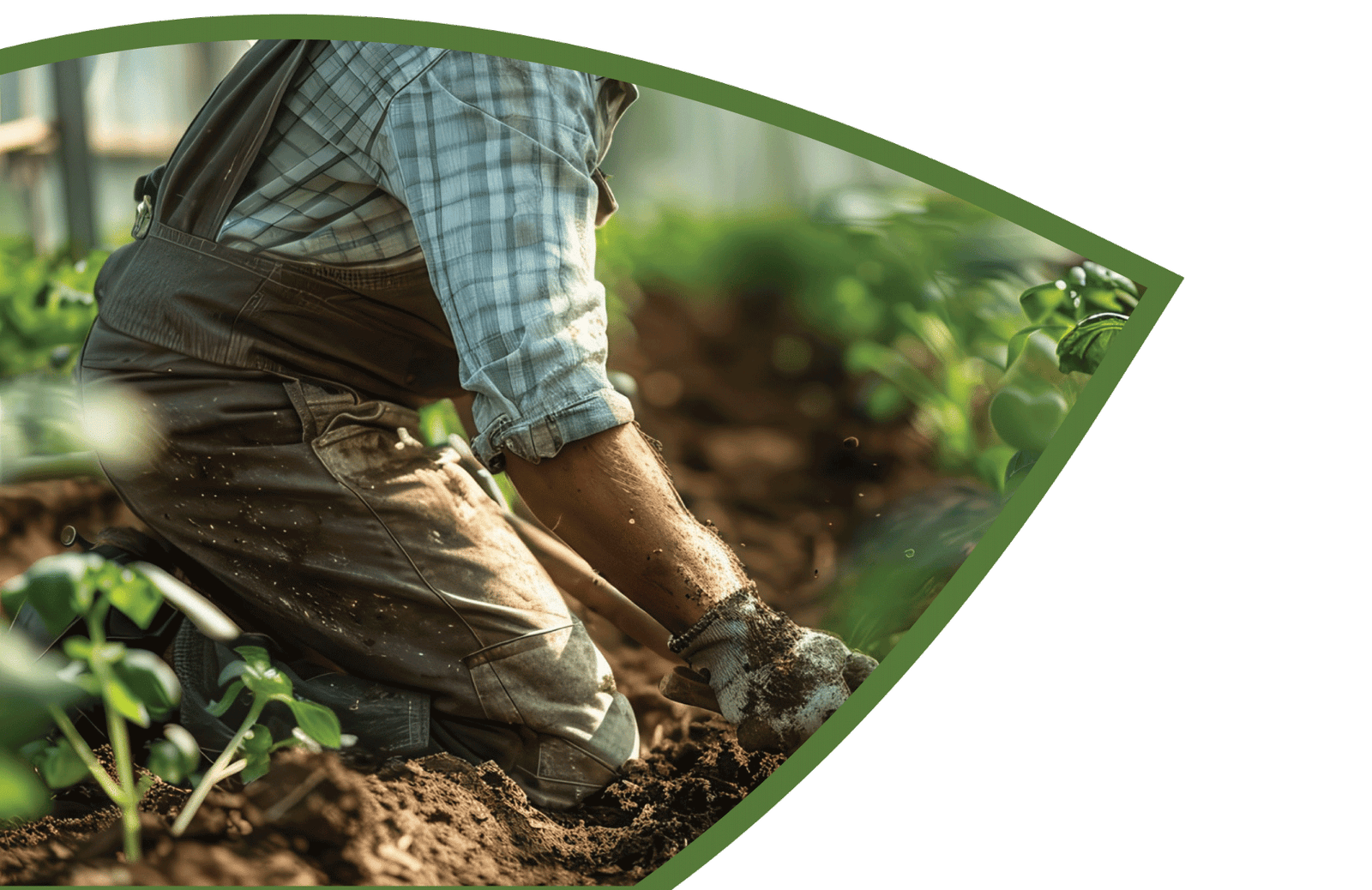 عمـــالاؤنــــا