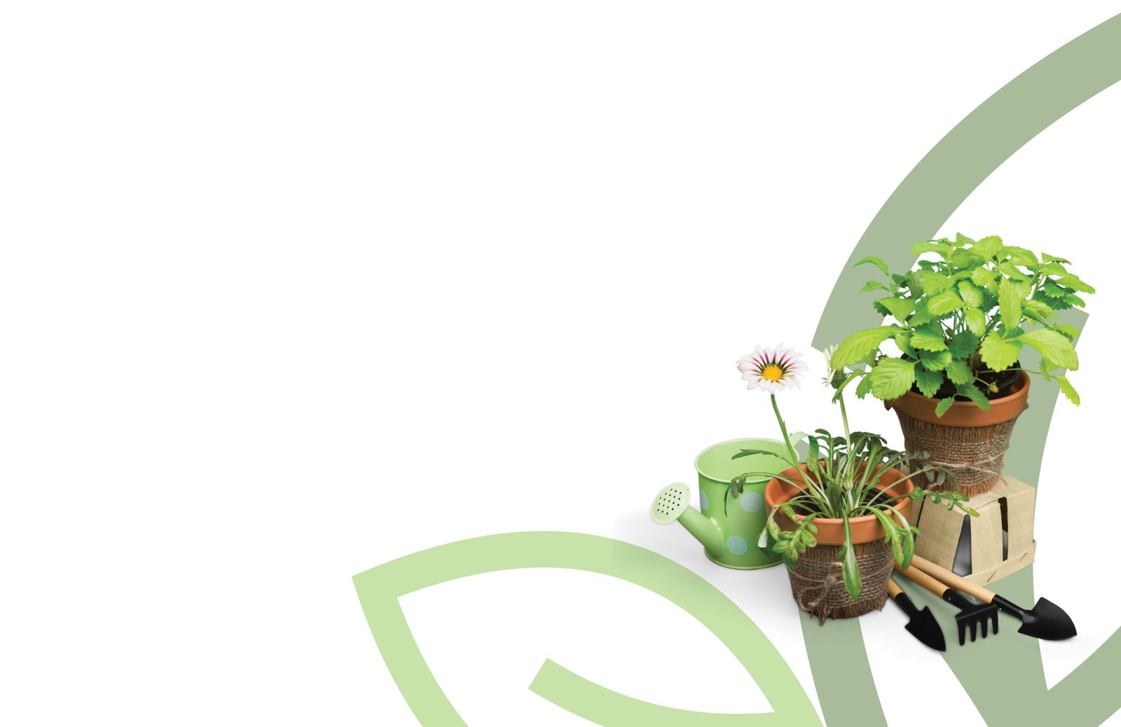 قــيــمــنــا